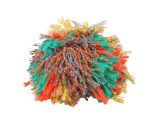 Pom Pom (F0283)