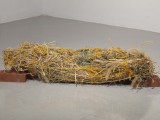 Untitled (garden tangle)