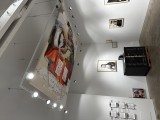 Installation view of Such Fool