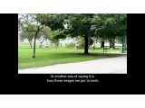 An All-Around Feel Good