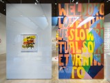 We love to fly free, we look close to move slow (1 of 3 walls pictured)